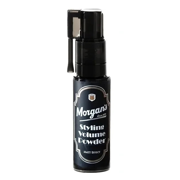 Poudre coiffante Matifiante 10GR